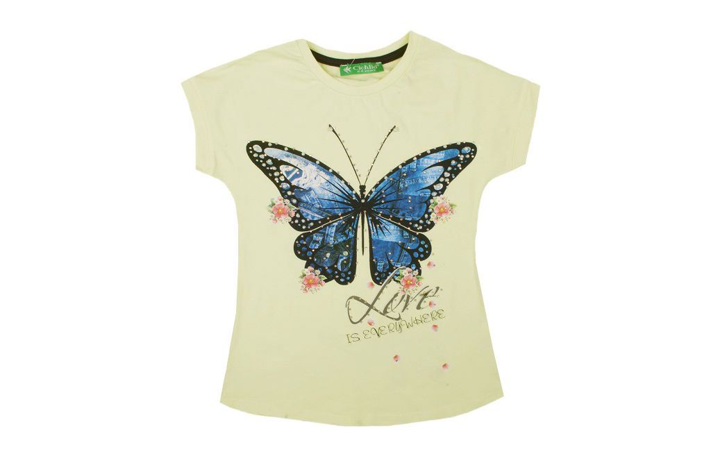 Teddy bear with butterfly