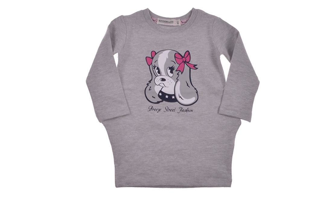 Dress long sleeve