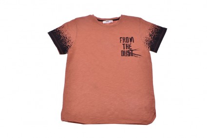 T-shirt for boy
