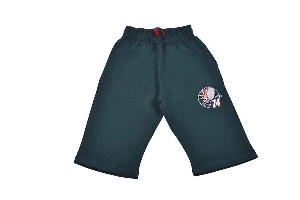 Shorts for boy