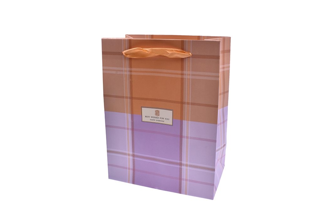 Gift bag 12 pieces
