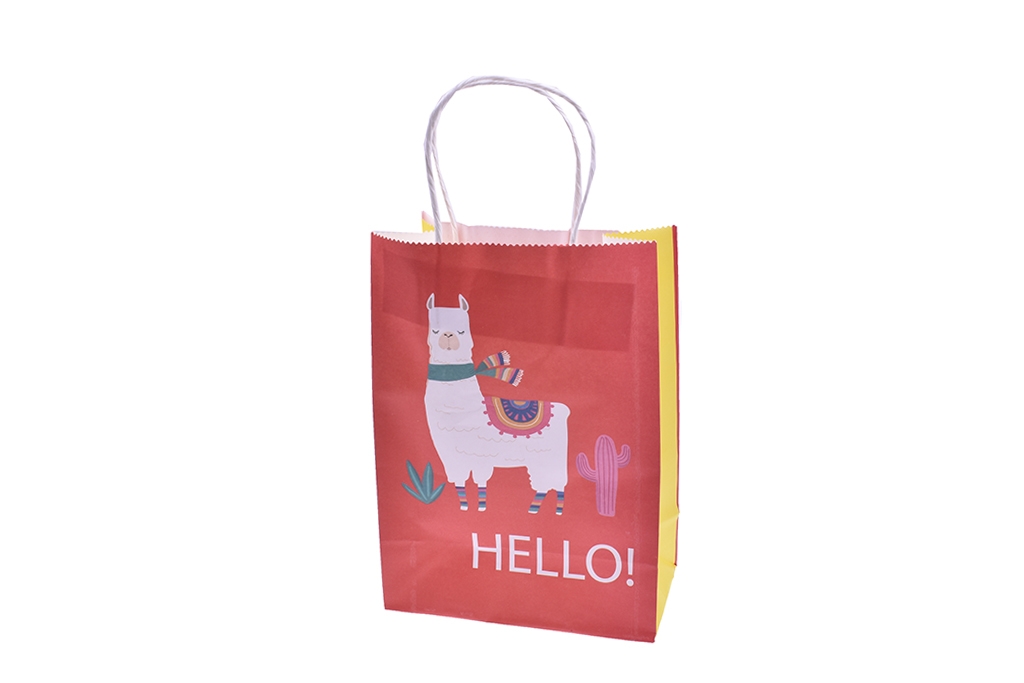 Gift bag 12 pieces