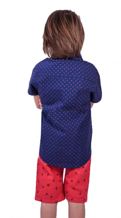 Shirt short sleeve boy