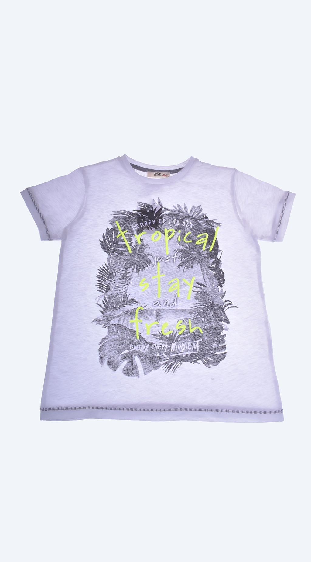 ������� ����� -  Palms