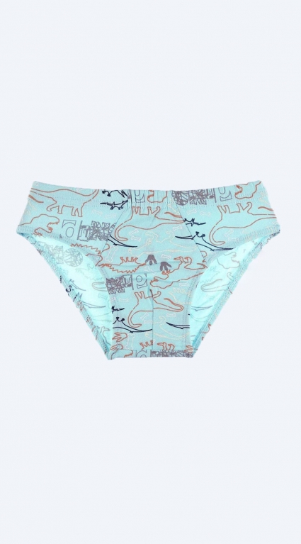 Briefs