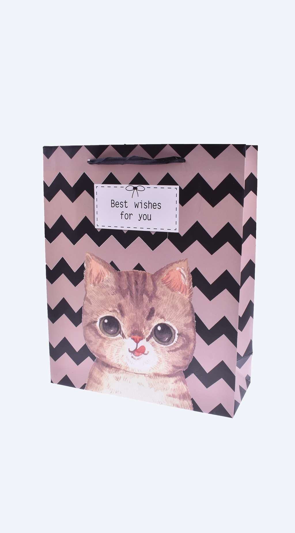 Gift bag 12 pieces