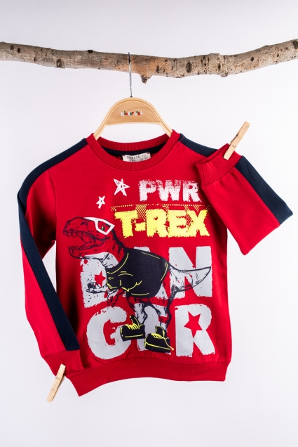 Boy long sleeve set