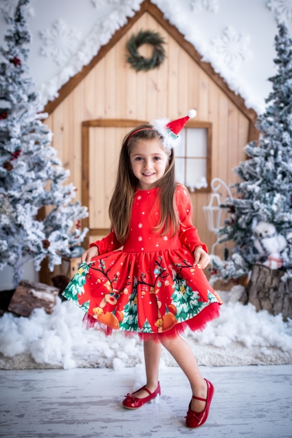 Long sleeve christmas dress