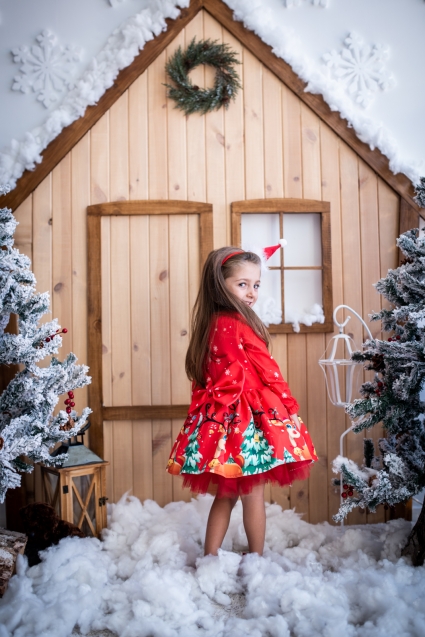 Long sleeve christmas dress