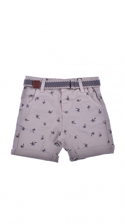 ���� ���������� ����� - Palms