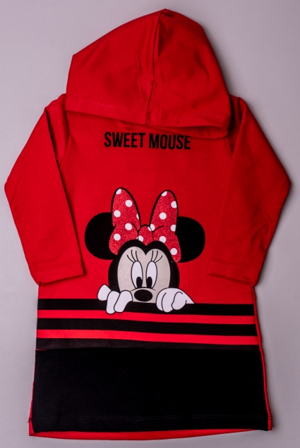 Minnie mouse long sleeve dress