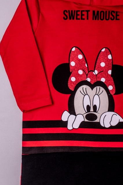 Minnie mouse long sleeve dress