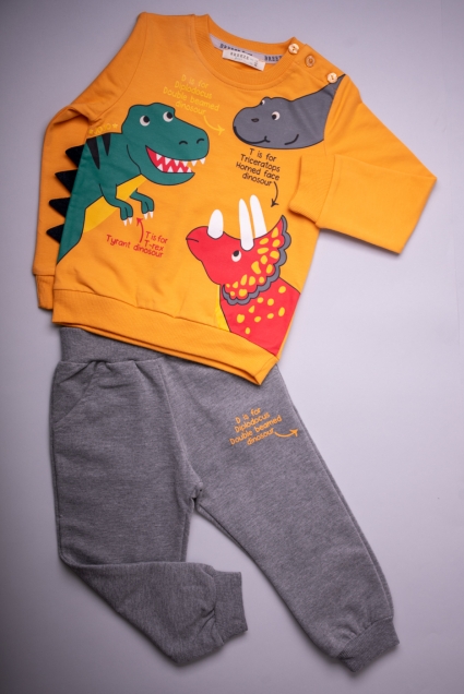 Boy long sleeve set