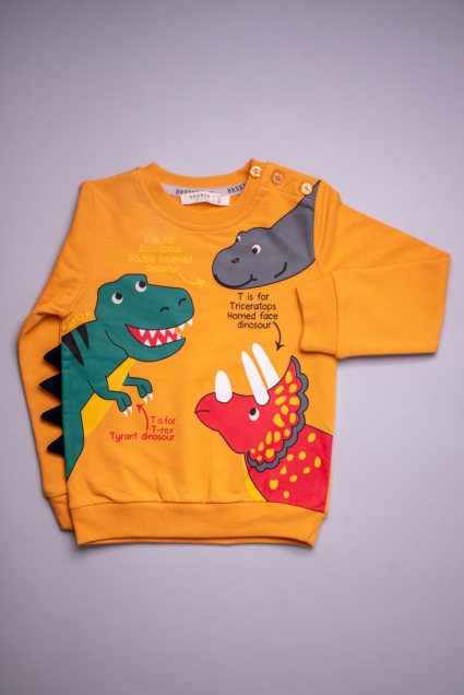 Boy long sleeve set