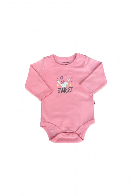 ���� ������ ����� �����