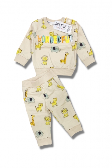 Boy long sleeve set with animals