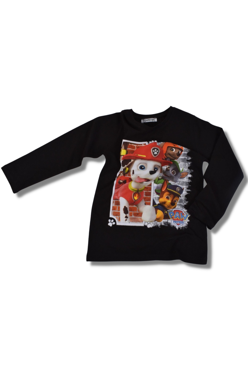 Blouse boy long sleeve paw patrol