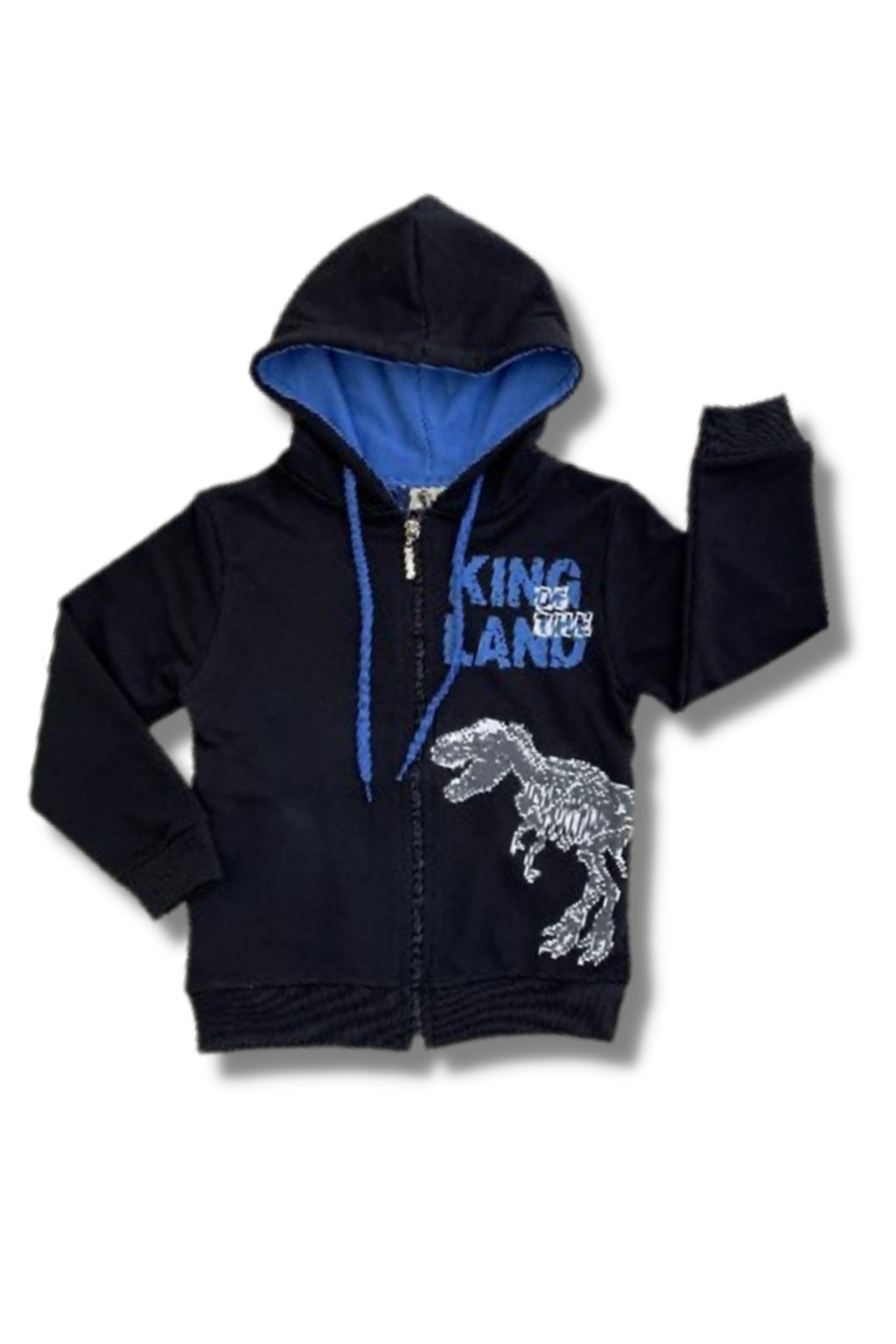Dinosaur boy sweatshirt