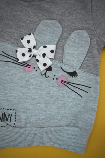 Girl long sleeve set