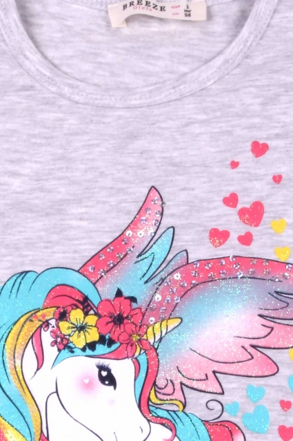 Girl`s short sleeve unicorn set
