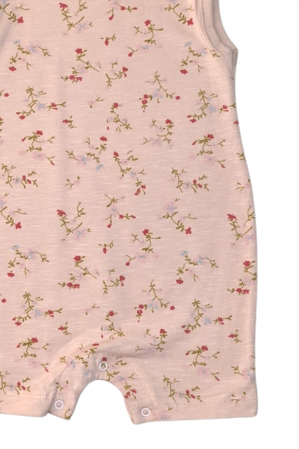 Гащеризон
