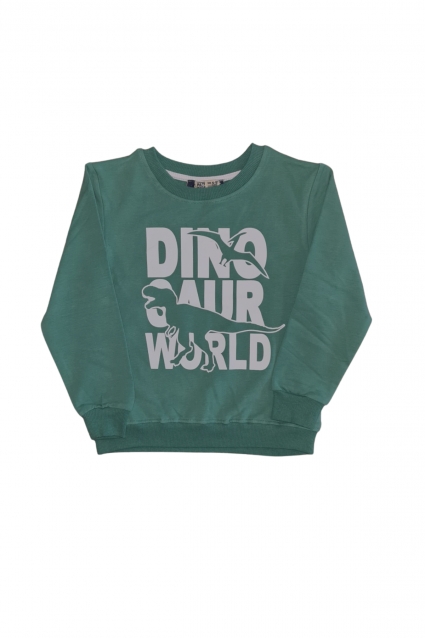 Boy`s long sleeve dinosaur blouse