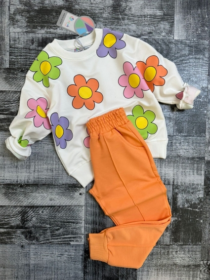 Girl long sleeve set