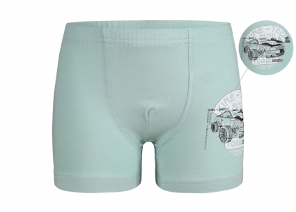 Băiat boxer
