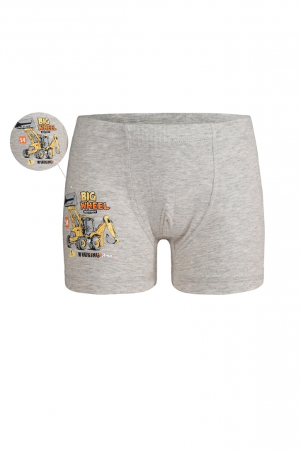 Boxer boy
