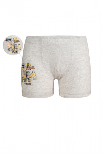 Boxer boy
