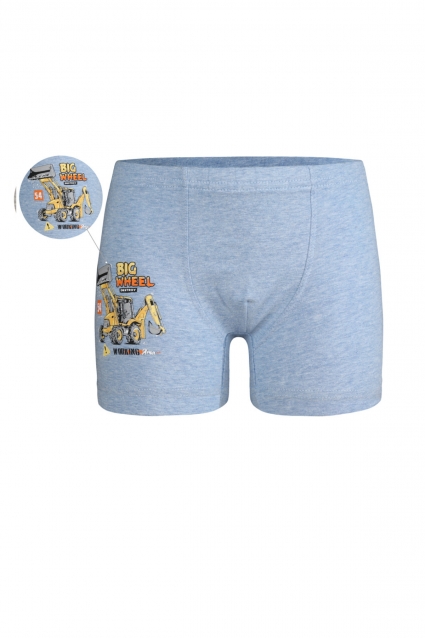 Băiat boxer