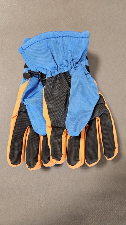 Ski gloves