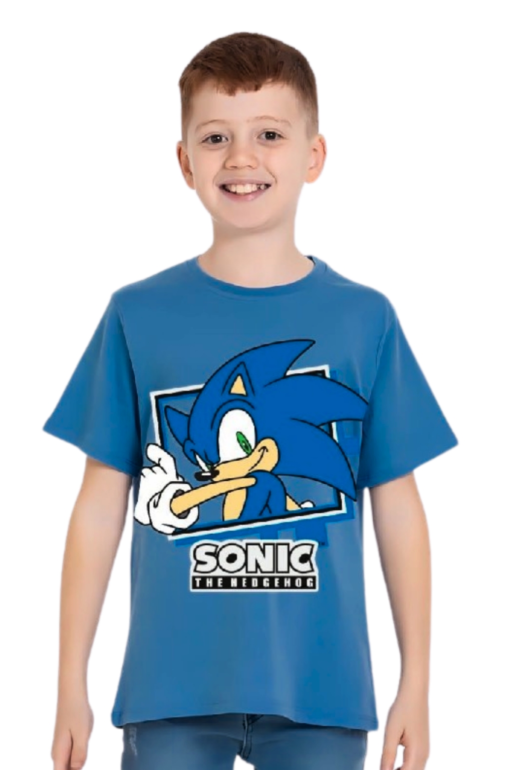 ������ ������� �� ����� Sonic, ��� ����
