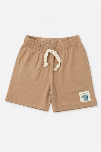Children`s shorts for boys, blue color