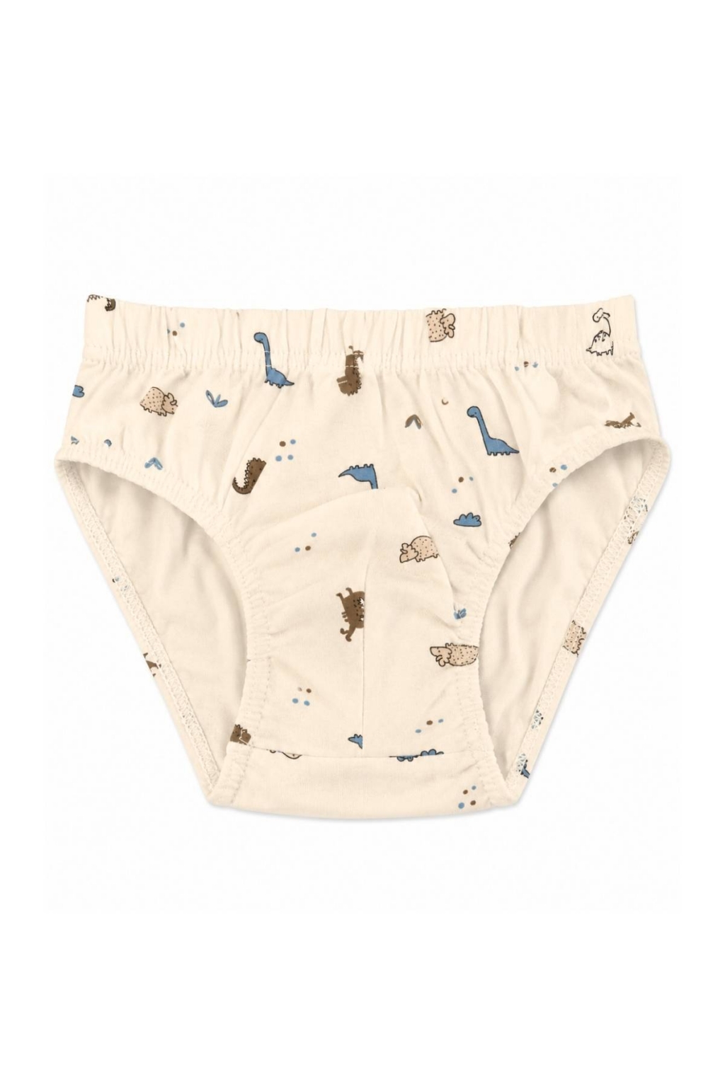 Children`s briefs for boys, gray color