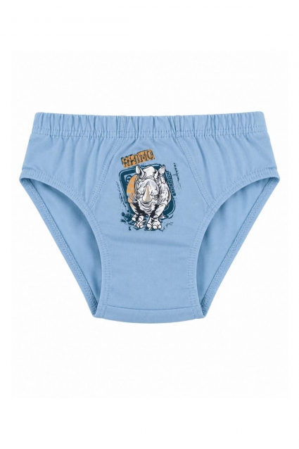 Children`s briefs for boys, gray color
