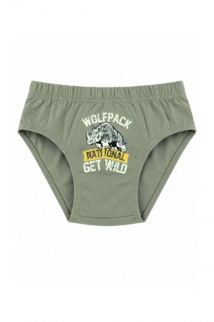 Children`s briefs for boys, gray color