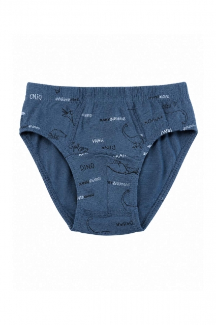 Children`s briefs for boys, gray color