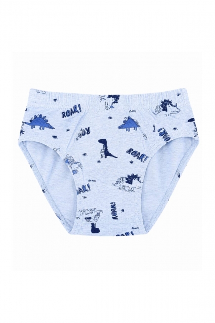Children`s briefs for boys, gray color