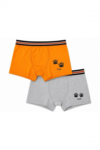 Boy`s boxers 2 pieces