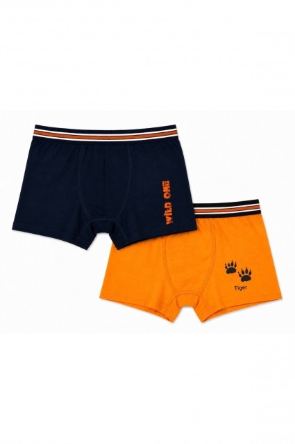 Boy`s boxers 2 pieces
