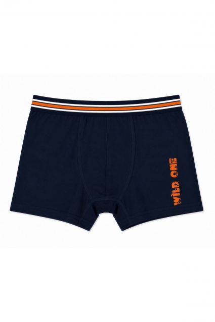 Boy`s boxers 2 pieces